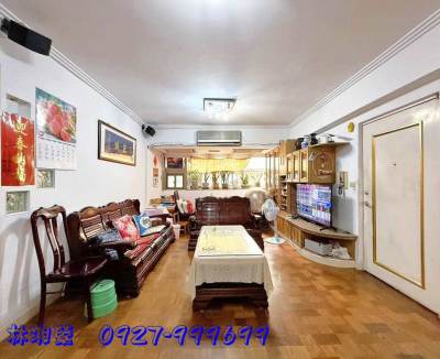 縣府豪門｜2+1房｜西門國小｜市政府商圈｜火車站,桃園市桃園區電梯華廈出售
